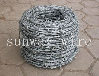 Barbed Wire