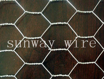 Hexagonal Wire Mesh