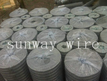 Welded Wire Mesh