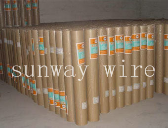 Welded Wire Mesh